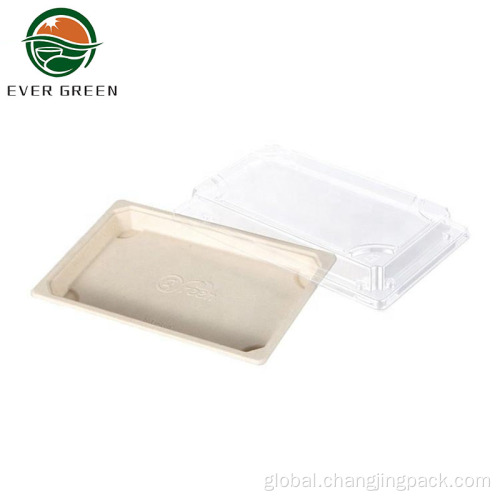 Bagasse Pulp Sushi Container Biodegradable Salad Containers Tray For Food Packing Manufactory